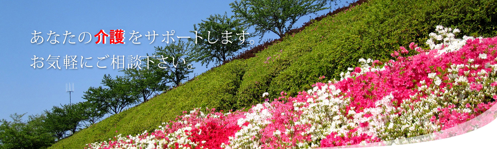 堺市の介護タクシー優雅